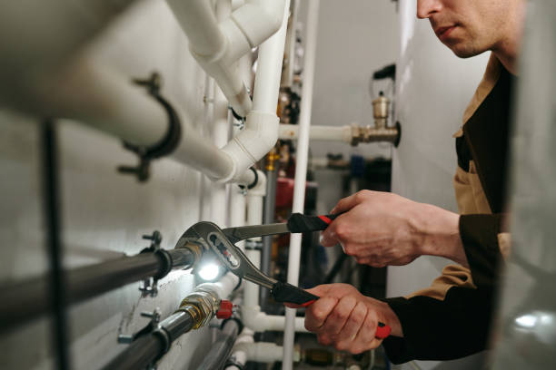 Best Plumbing Inspection Services  in Alba, NY